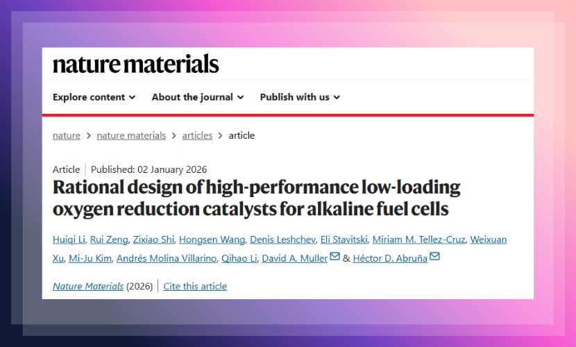 化学与环境工程学院助理教授李慧齐在Nature Materials发表新成果